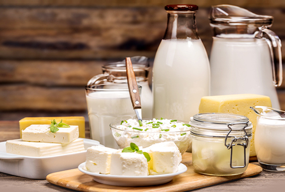 Dairy consumption and bone health
